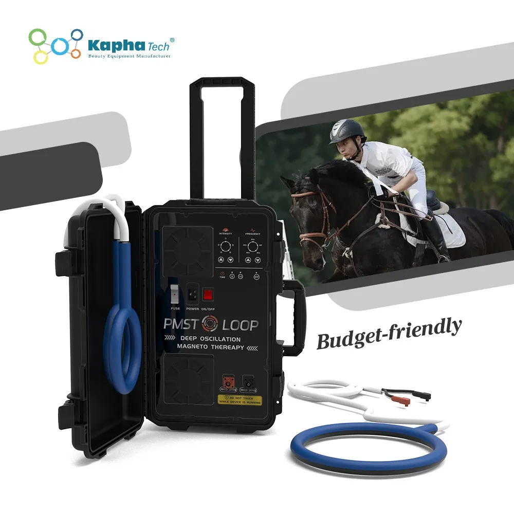 PEMF Equine PMST LOOP Transcranial Stimulation Stroke For