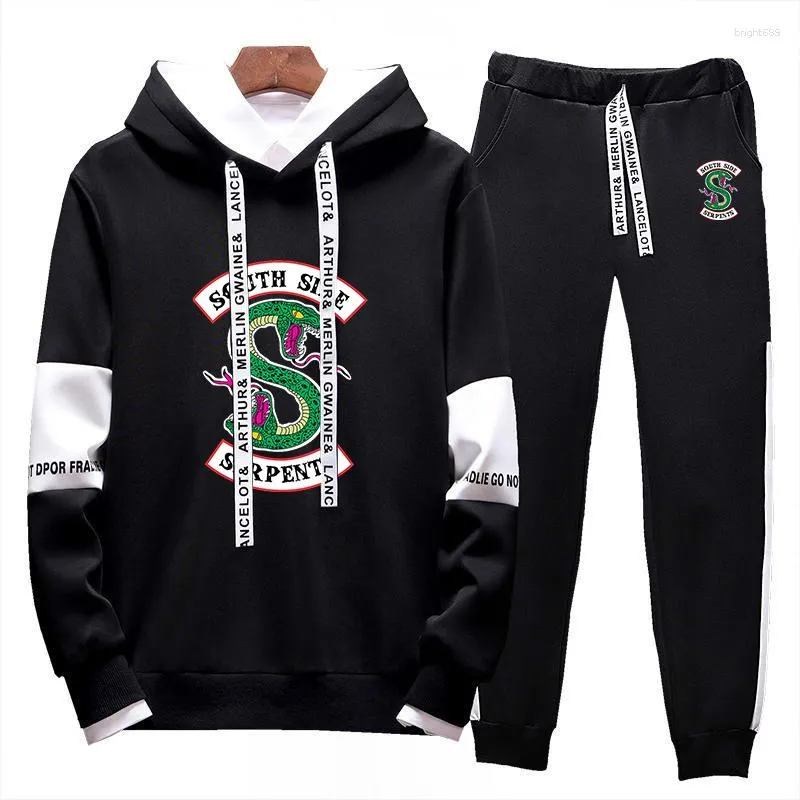 Herren Trainingsanzüge Riverdale Southside Serpents Frühling Herbst Hoodies Sweatpant Sets Harajuku Jacken Sport Bequeme Farbverlaufsanzüge