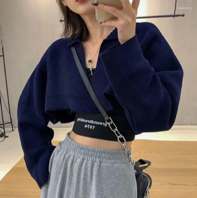 Pulls pour femmes 2023 Vestes de base Femmes Cropped All-match Pulls Streetwear Tricoté Col en V Harajuku Style coréen Chic Daily Outwear