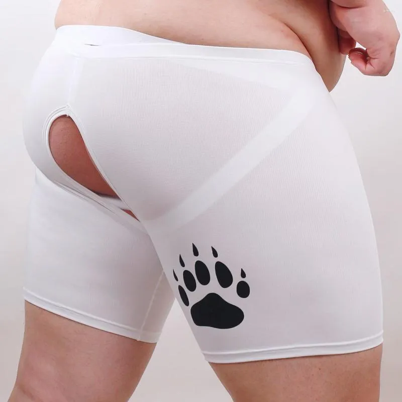 Caleçon 1 ensemble 2 pièces ours Gay fier sous-vêtements griffe exposer fesses entrejambe translucide boxeurs Sexy Jocks blanc M L XL XXL