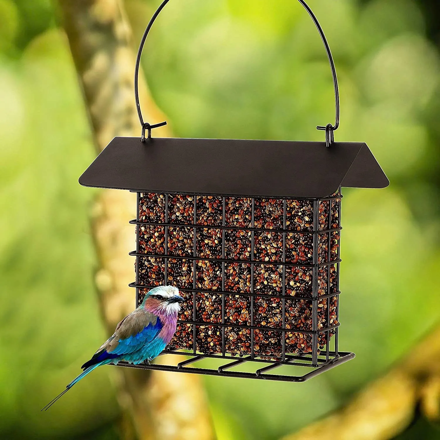 庭の装飾屋外の野生鳥の餌箱ハンギングフルーツとスエットの防水食品容器用の装飾供給230810