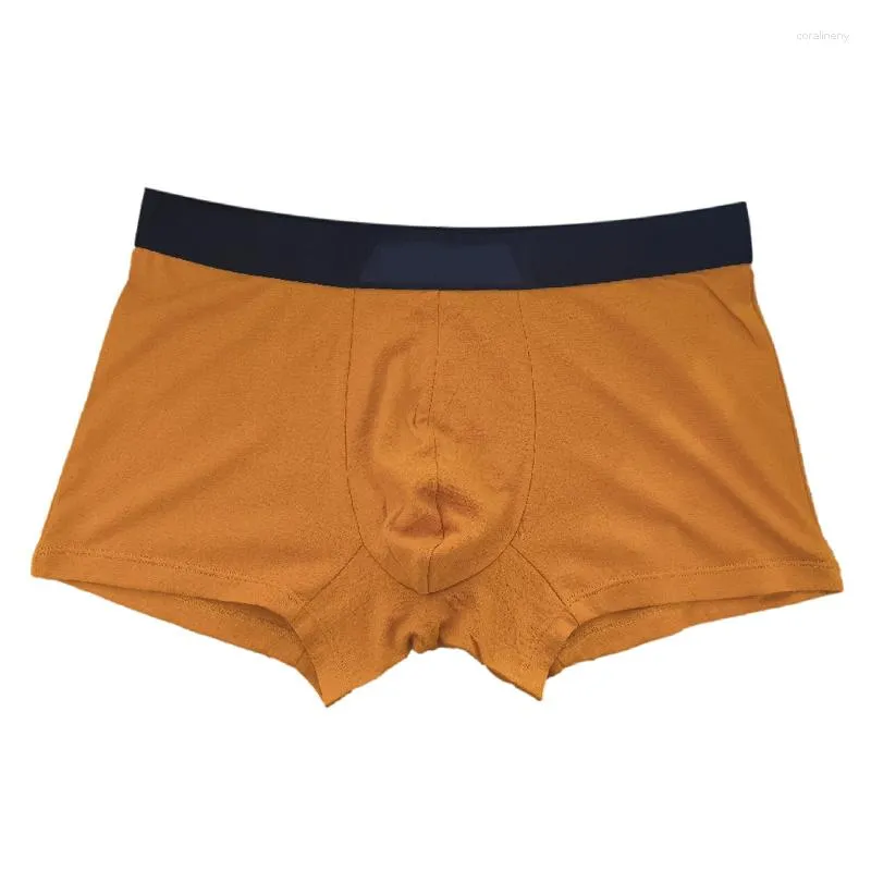 Mutande 1pc Lana merino Uomo Boxer corti Intimo Lingerie per uomo Cinturino elastico Mutandine Hombres gialle ad asciugatura rapida