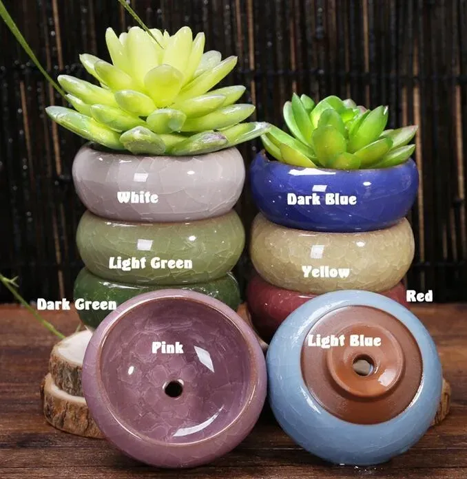 패션 Arden Planters Flower Pots Planters 50pcs/lot microlandschaft 미니 즙이 많은 식물 꽃 꽃병 꽃집 테라리움 용기 미니 본사