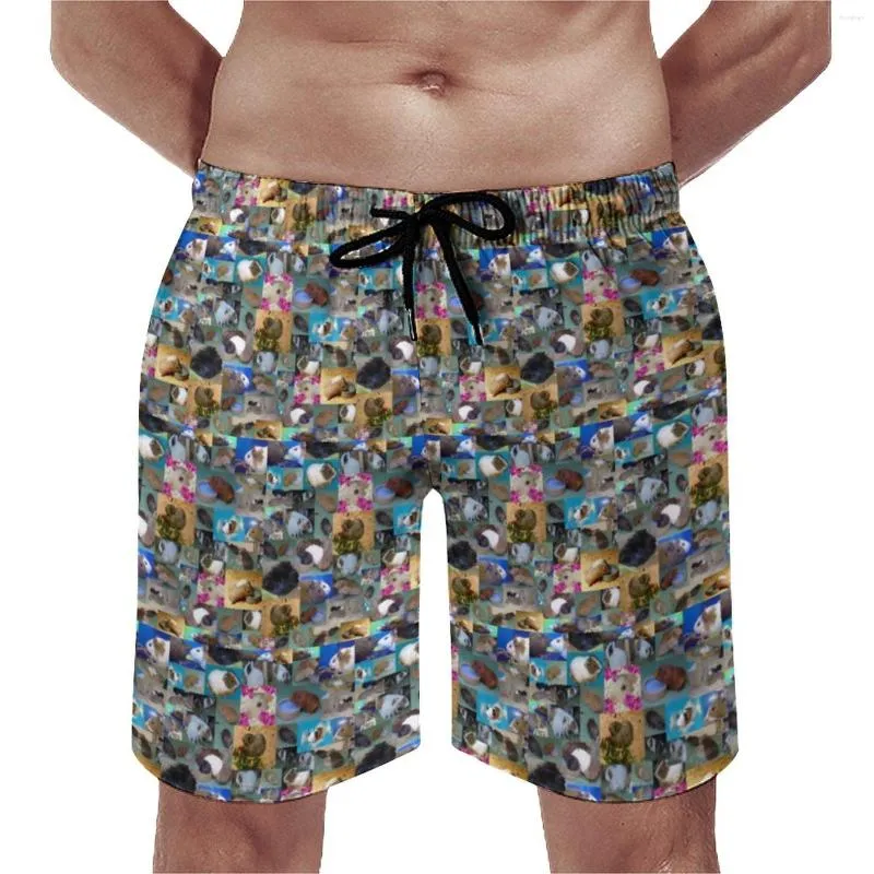 Men's Shorts Guinea Pig Po Board Funny Pet Quality Short Trenky Big Size Swim Trunks