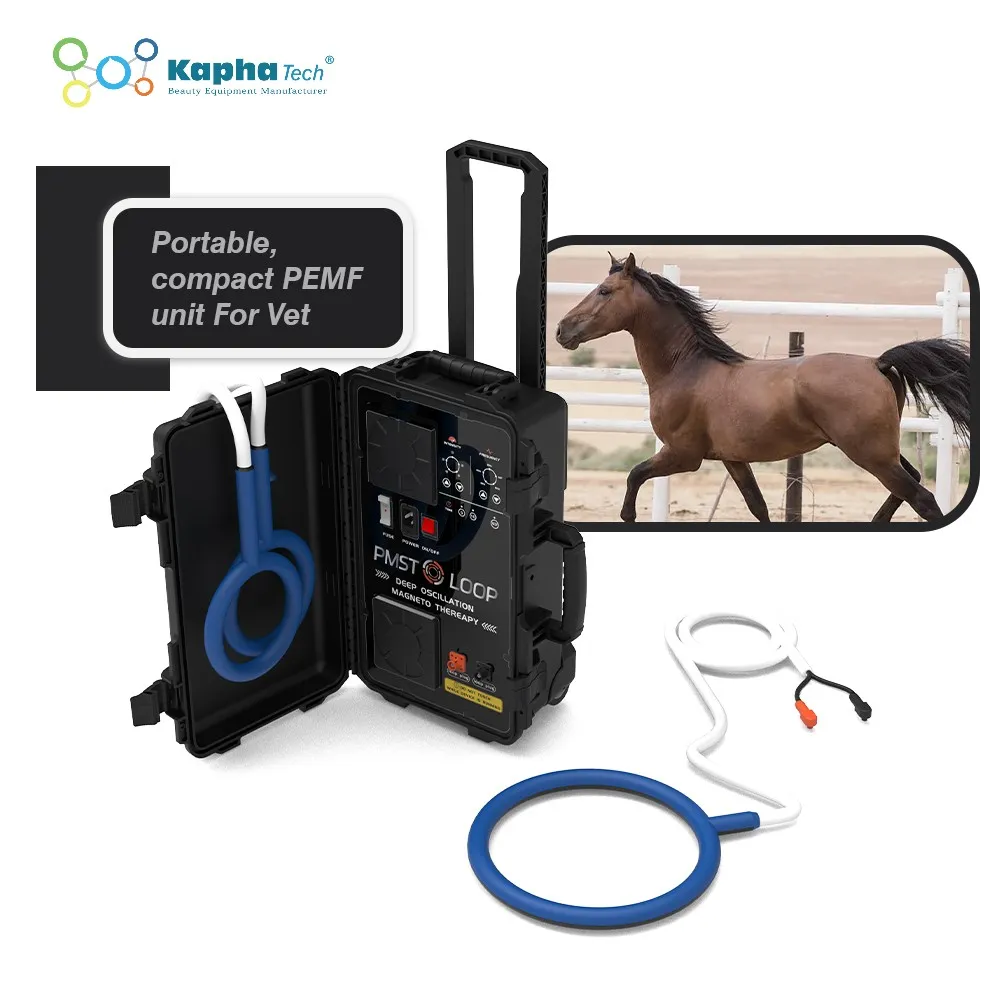PMST LOOP Magna Wave Machine For Veterinary Care And Physiotherapy With