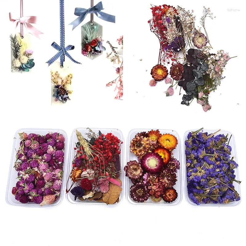Fleurs décoratives 1 boîte réelle fleur séchée plantes sèches pour bougies accessoires de bricolage de bricolage époxy résine pendentif collier bijoux