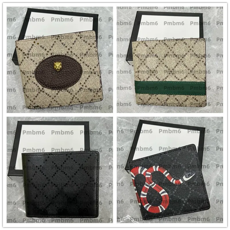 Top -Qualitäts -Geldbörsen -Männer Tierdesigner Mode Druck 15 Farben Kurzer Brieftasche Leder schwarzer Schlangen Tiger Bienen Frauen Luxus -Geldbeutel -Kartenhalter mit Schachtel