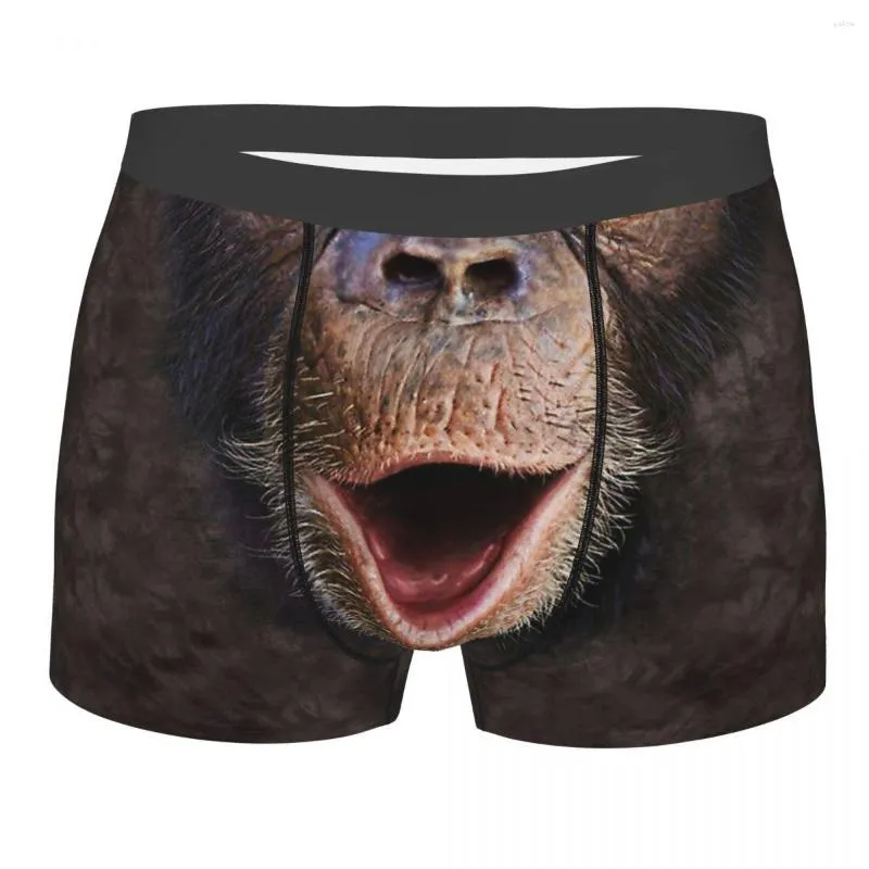 Underbyxor 3D tredimensionell djur Happy Chimp-Monkey Face Present Bomull Trosor Mann Underkläder Print Shorts Boxer Briefs