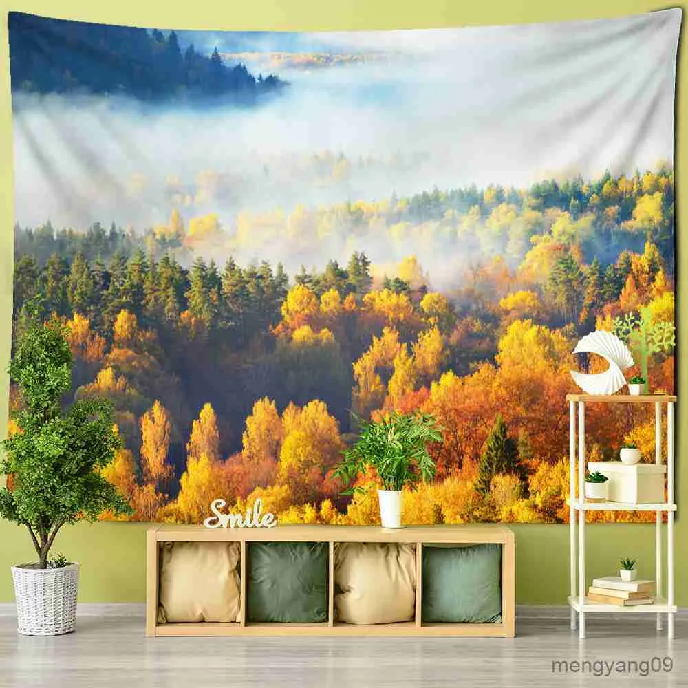 Tapestry wall online hanging kmart