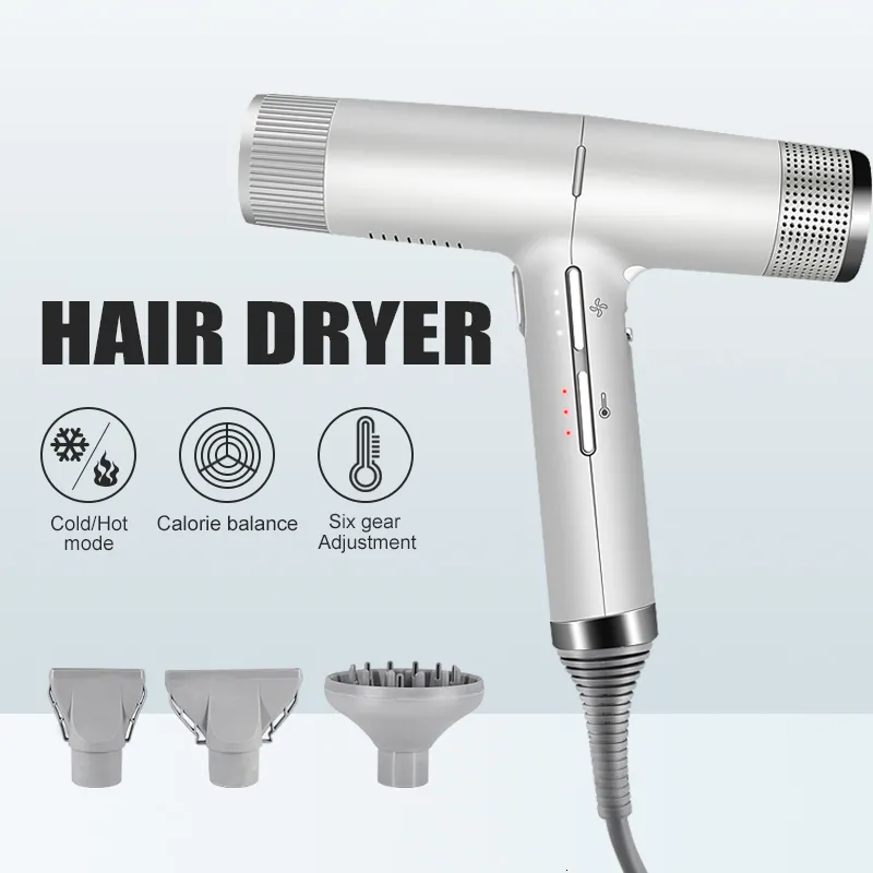Hair Dryers Professional Anion Blow Dryer Salon Styling Hairdryer Quick Dry Electric Home 1400W Portable Diffuser 230812