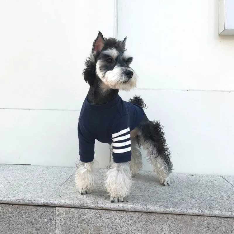 Dog Apparel Stipe Capuz Roupos de cachorro Model Sweatshirt Roupas para animais de estimação fofos de primavera de Yorkies Prind Cotton Marinha mascotas 230812