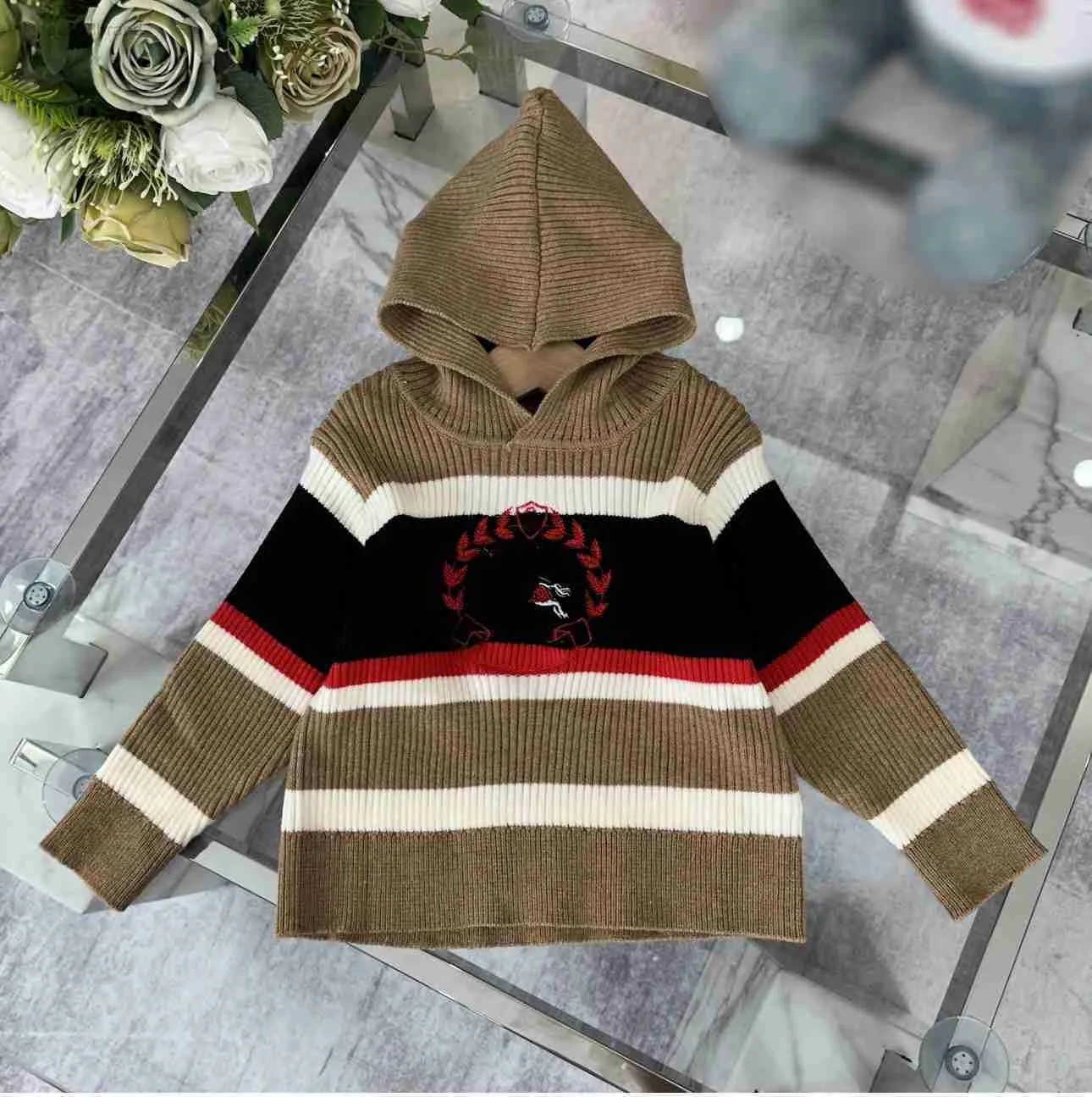 Projektant Baby Pullover Kids Multi Color Stripe Design Sweter z kapturem Rozmiar 100-160 cm Wysokiej jakości dzianin z długim rękawem