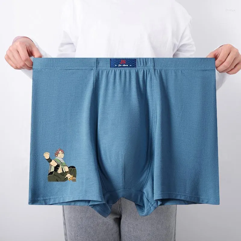 Onderbroek Family slipje katoen man boksers f-fairy staarten zwart plus size ondergoed voor mannen bokser briefs mannelijk sexy big big big big big