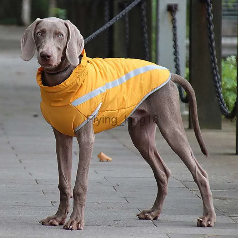 Yansıtıcı Büyük Köpek Ceket Büyük Köpekler İçin Kış Su Geçirmez Evcil Giysiler Weimaraner Whippet Greyhound Ceket Giysileri HKD230812