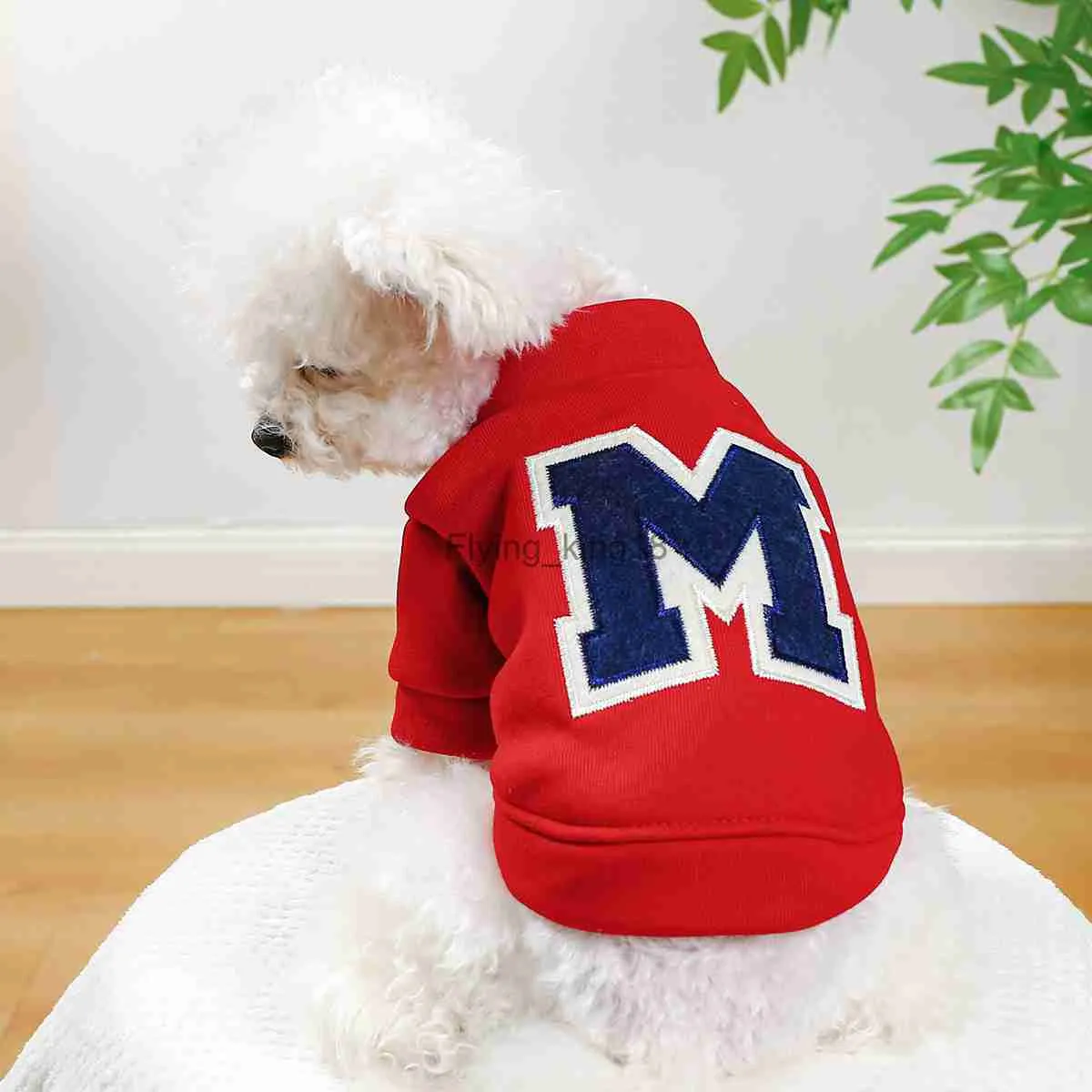 Clothes for Small Dogs Teddy than Bear Dog Clothes Autumn and Winter New Add Velvet Warm Letter R Hoodie HKD230812