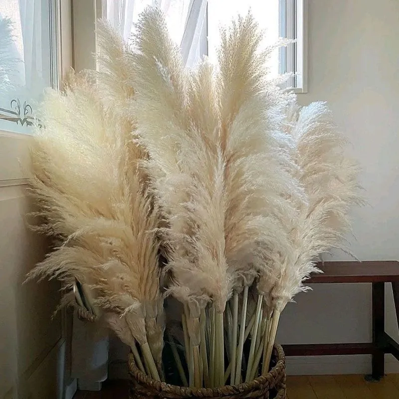 الزهور الزهور أكاليل الزهور 80-140 سم بامباس العشب كبير XXL XXL FLUFFY PAMPAS مجفف الزهور بوهو النبات لمرض الزفاف المنزل ديكور الزهور ترتيب زهرة 230812