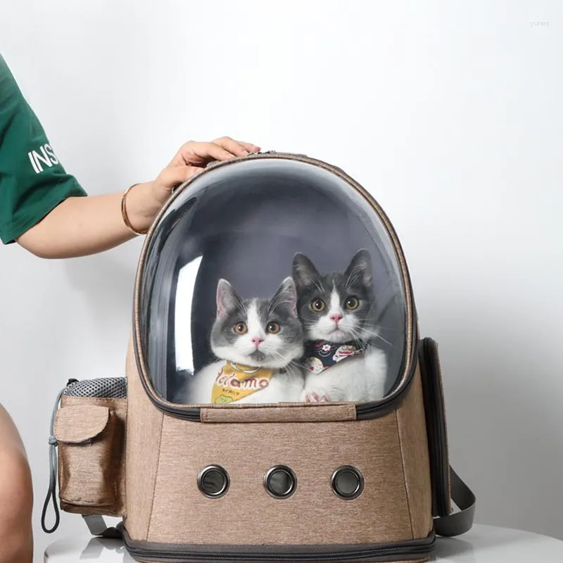Poundstretcher cat carrier hotsell