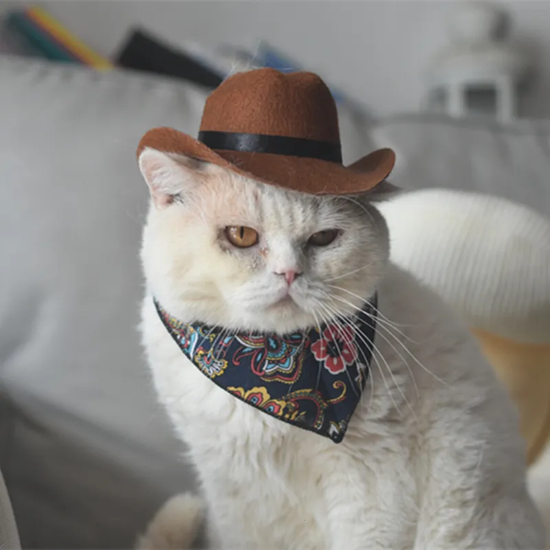 Cost Costumes Cat Cowboy Hat Pet Pet Bandana et chapeau Western Cowboy Chapeau pour chat Cat Casque Paille Pet Pet Produits Pet 230812