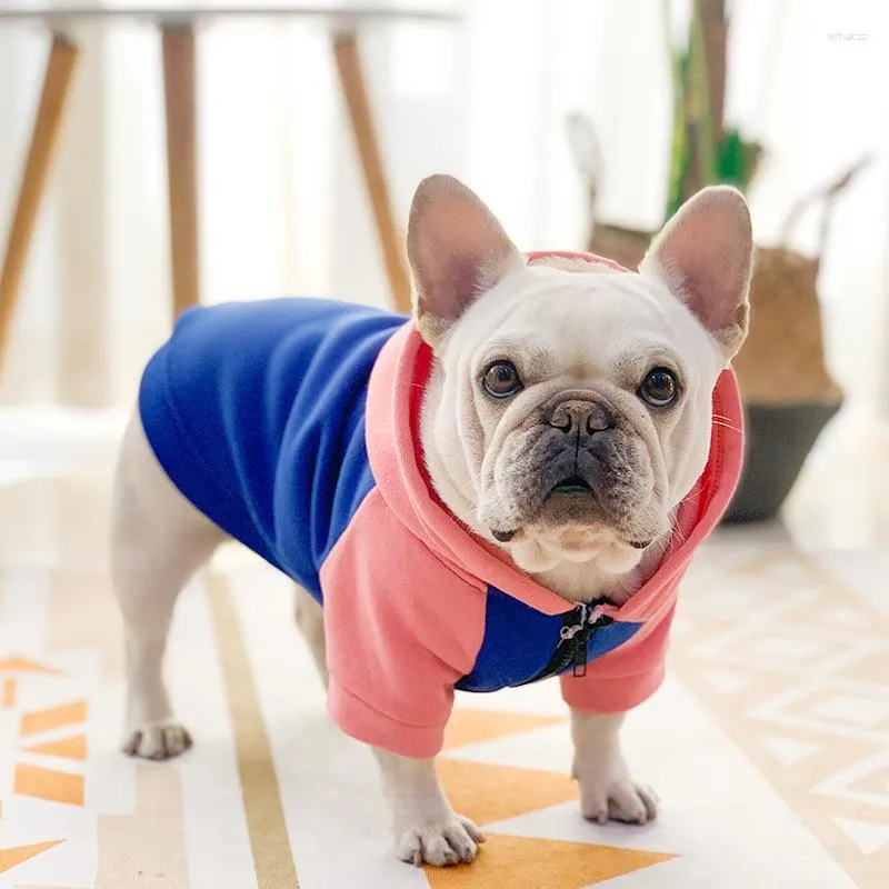 Ubrania psa francuskie ubrania walki jesień i zimowe ubrania Małe psy średniej wielkości przeciw hair stratę petdog