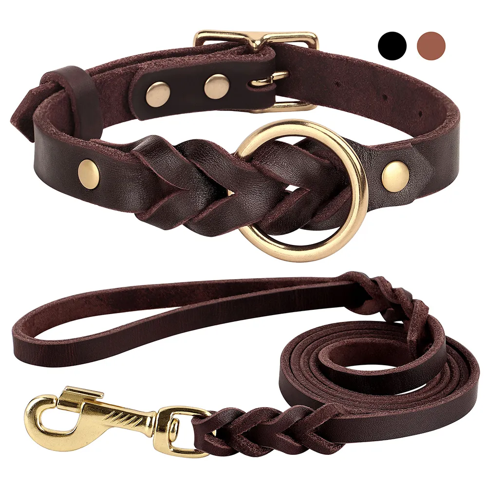 Appareils pour chiens en cuir authentique Collier de chien LEASH SET TRAIDÉ COURT DU COURTURE DURABLE COLLARS DE chiens pour les grands chiens allemand ACCESSOIRES DE PETIS