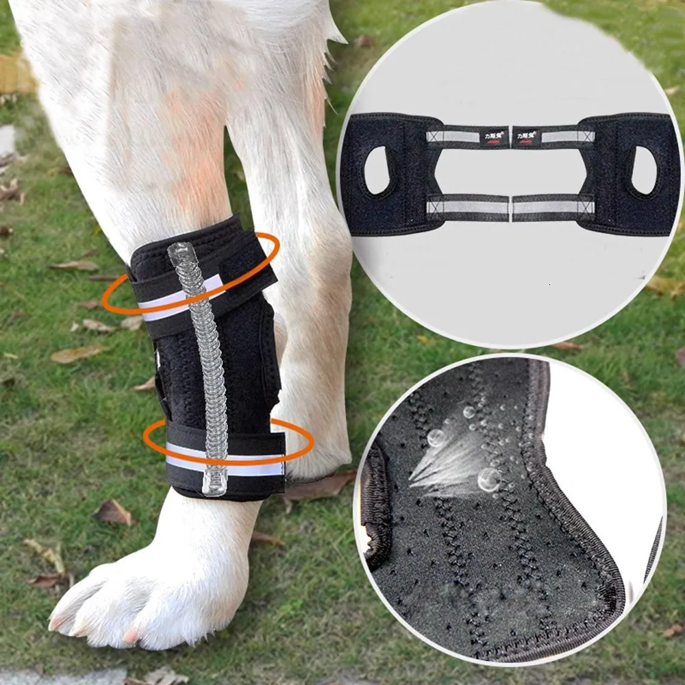 Hundkläder Dogfrakturfixering Splint Pet Dog Joint Protection Sleeve Hind Leg Svaghet Brace Arthritis Auxiliary With Short 230812