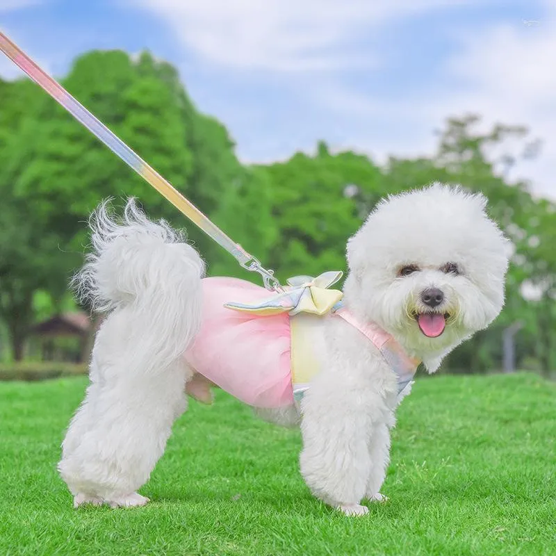 Cost Costumes Anti-Break Leash Vest Style Bow Pet Pet Princess Yarn Dress Dog Clothes