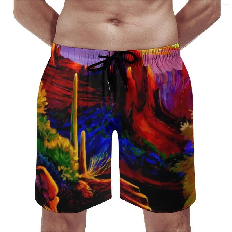 Shorts pour hommes Montagnes de gym peinte du désert Imprimé coucher de soleil Running Surf Beach Pantal