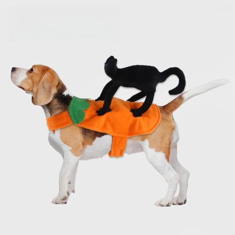 Dog Apparel Cute Halloween Costume Fancy Dress For Party Black Cat Rider Small Medium Large Dogs Pet Accessories