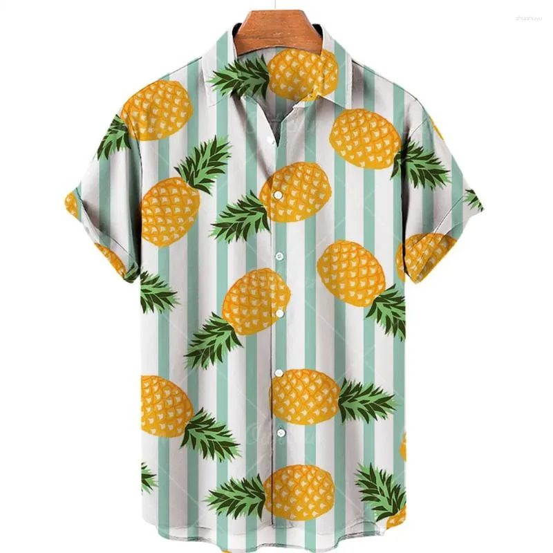 Today's Everyday Fashion: Pineapple — J's Everyday Fashion