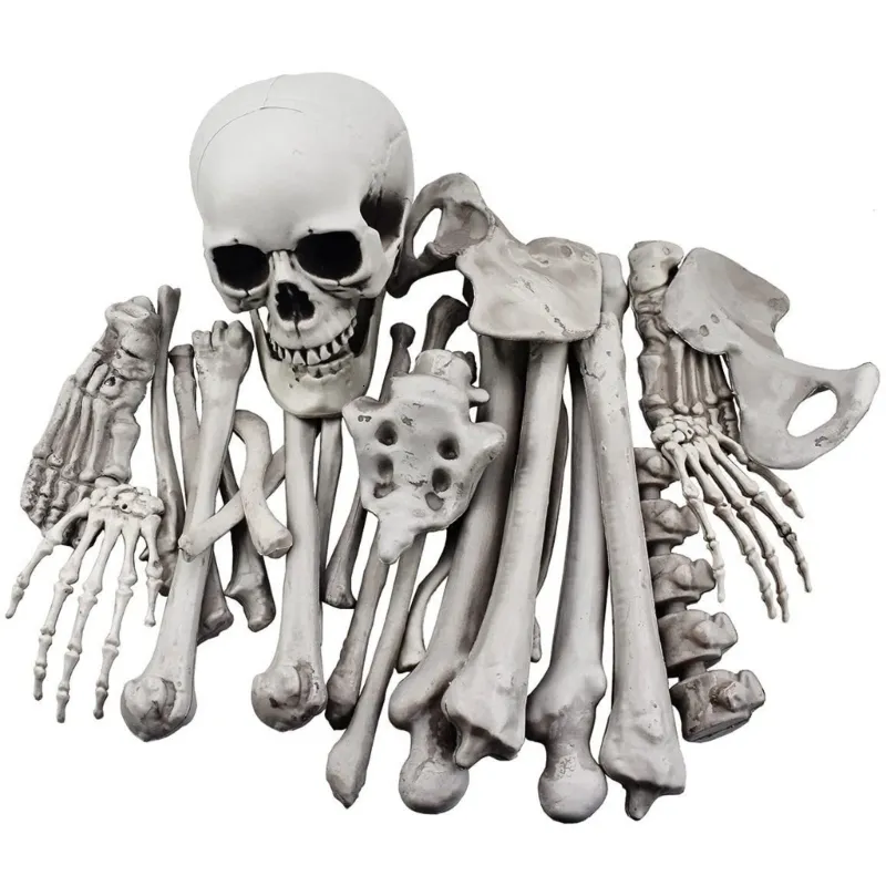 Andra evenemangsfest levererar 28 st skelettben med skalle konstgjord realistisk staty för halloween skrämmande gravskikt markstång dekoration 230815