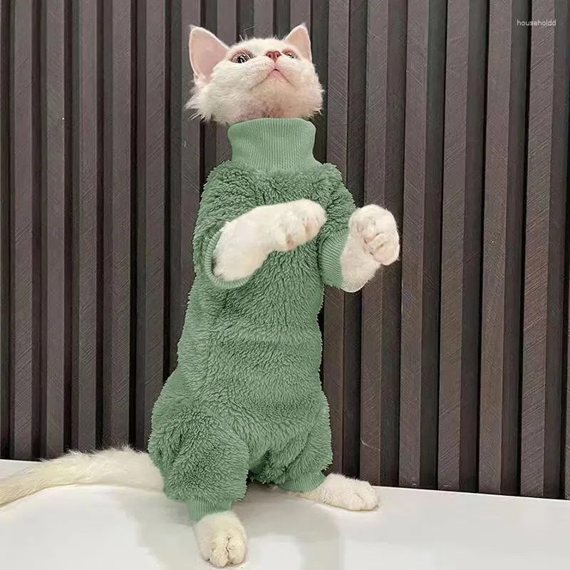 Cat jumper for clearance cats