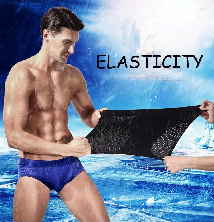 Underpants Sexy Men Briefs Mesh Breathable Mens Underwear Bamboo