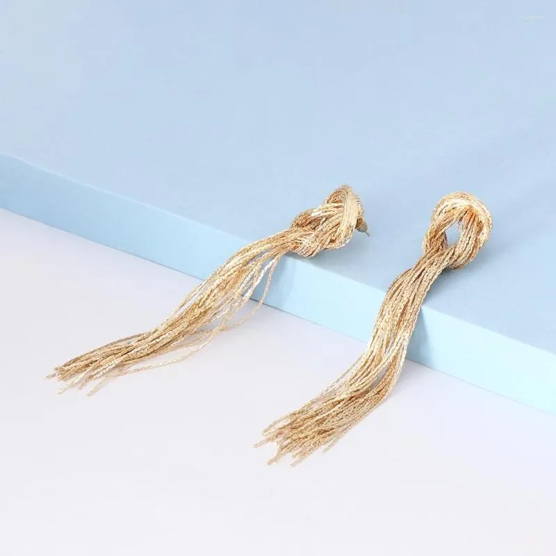 Boucles d'oreilles en peluche 2023 Long Metal Tassel pour femmes Gift de bijoux de haute qualité