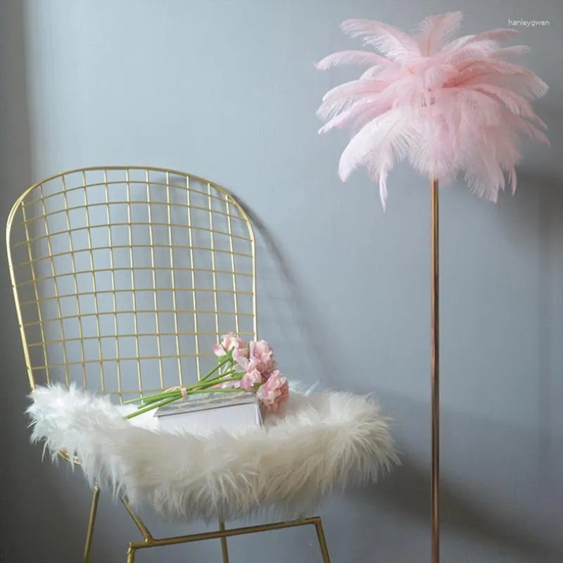Feather floor 2024 lamp pink