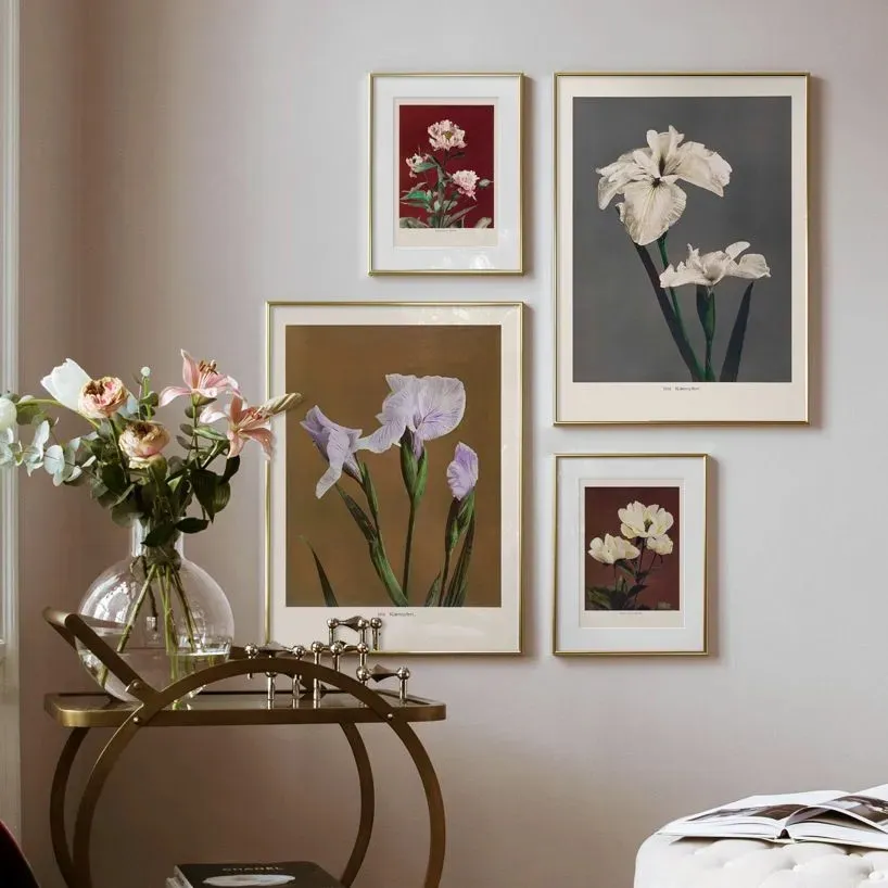 Leinwand Malerei Peony Iris Kaemperi Nordic Blooming Blumen Plakate und drucken moderne Pflanzenwandkunst Wohnzimmer Mädchen Schlafzimmer Home Dekoration wo6