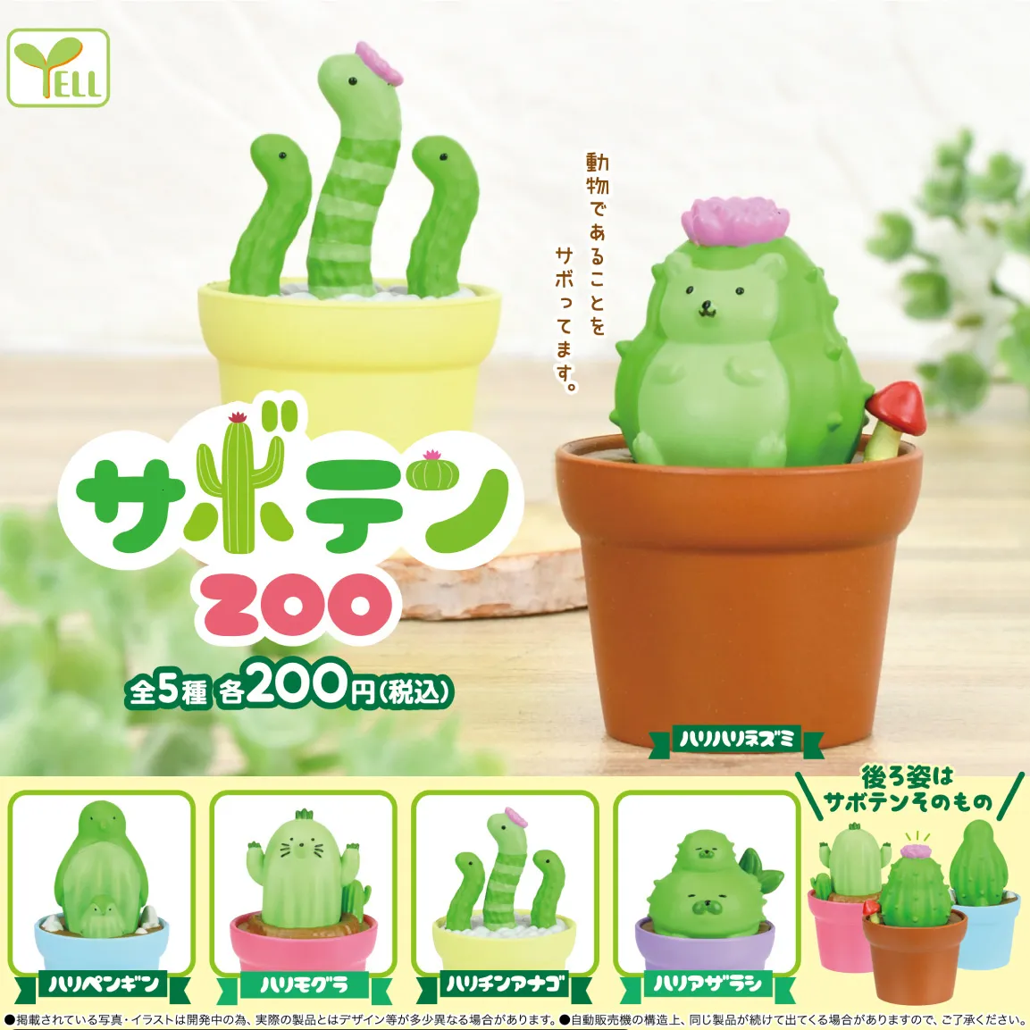 Blind Box Originele Gashapon Toys Kawaii Cactus Dieren Hedgehog Afdichting Mol gevlekte tuin Eel mandrake Potplanten Figuren 230814