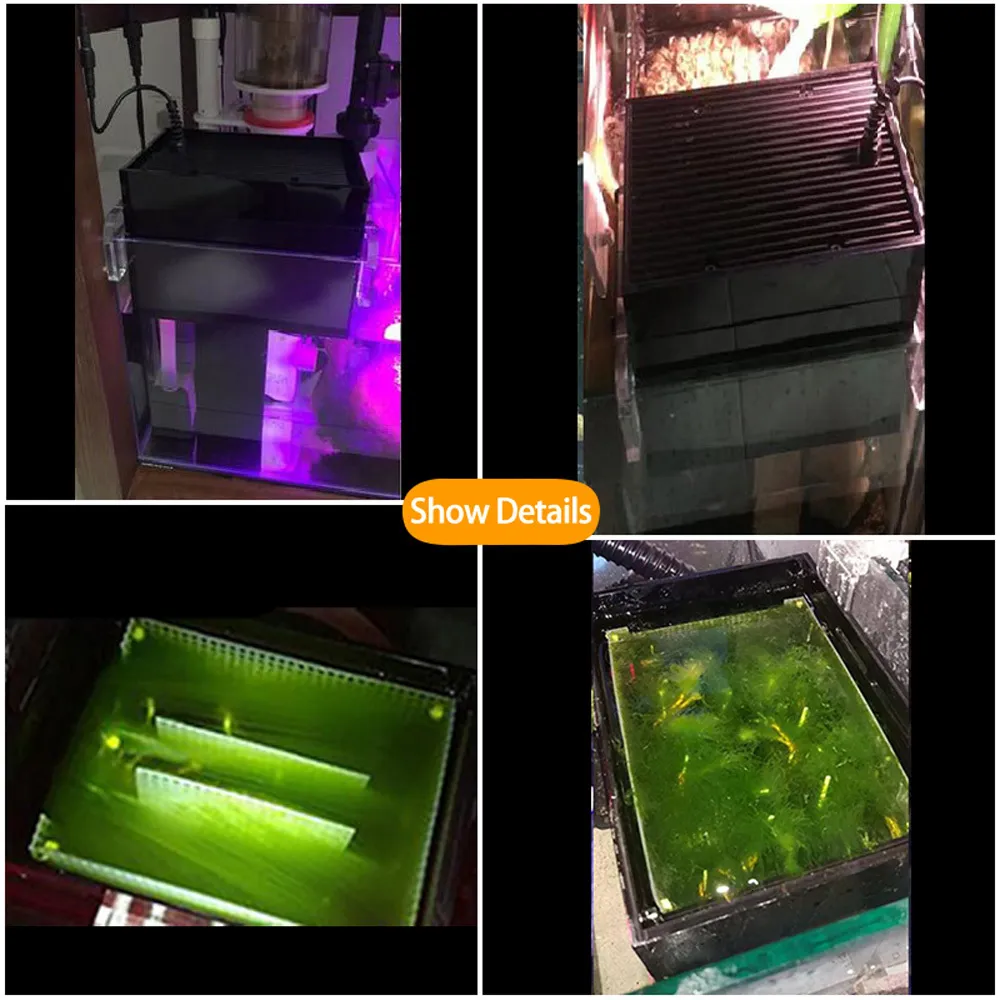 External Algae Box Marine Balance Aquarium Filter for Bedroom Water ...