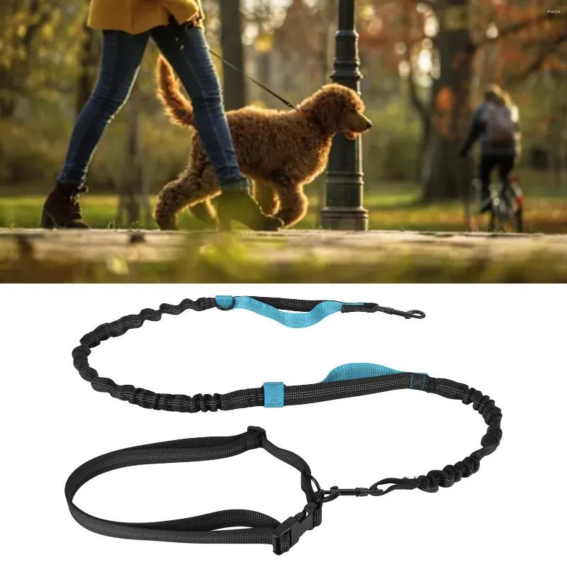 Dog Collars High Qulity Retractable Hands Free Leash For Running Dual Handle Bungee Reflective Large Dogs Pet Traction Rope