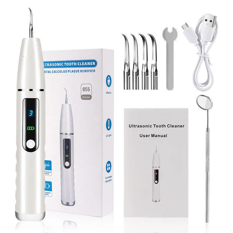 Other Oral Hygiene Ultrasonic Dental Scaler for Teeth: Electric Sonic ...