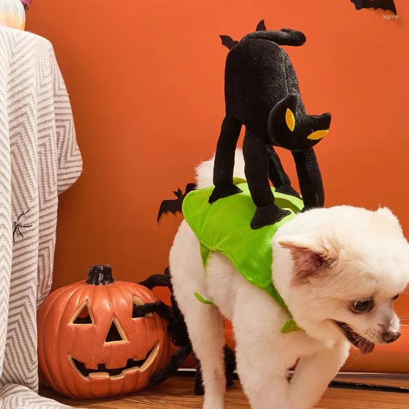 Odzież dla psa Halloween Costumes Mały i średniej wielkości czarny kot zabawna zmiana w świąteczne ubrania ubrania