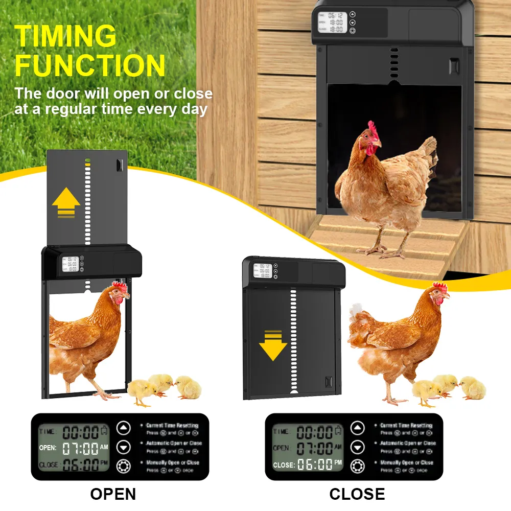 Poultry Timer Automatic Chicken Coop Door Timer & Egg Incubator - Premium Poultry ...