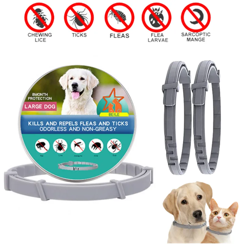 Hundhalsar Leases Extenderable Pet Loppeshalsband Halsband Veterinär Personlig fästing Big Puppy Cat Anti Loppor och fästingar Dogs tappar 230815