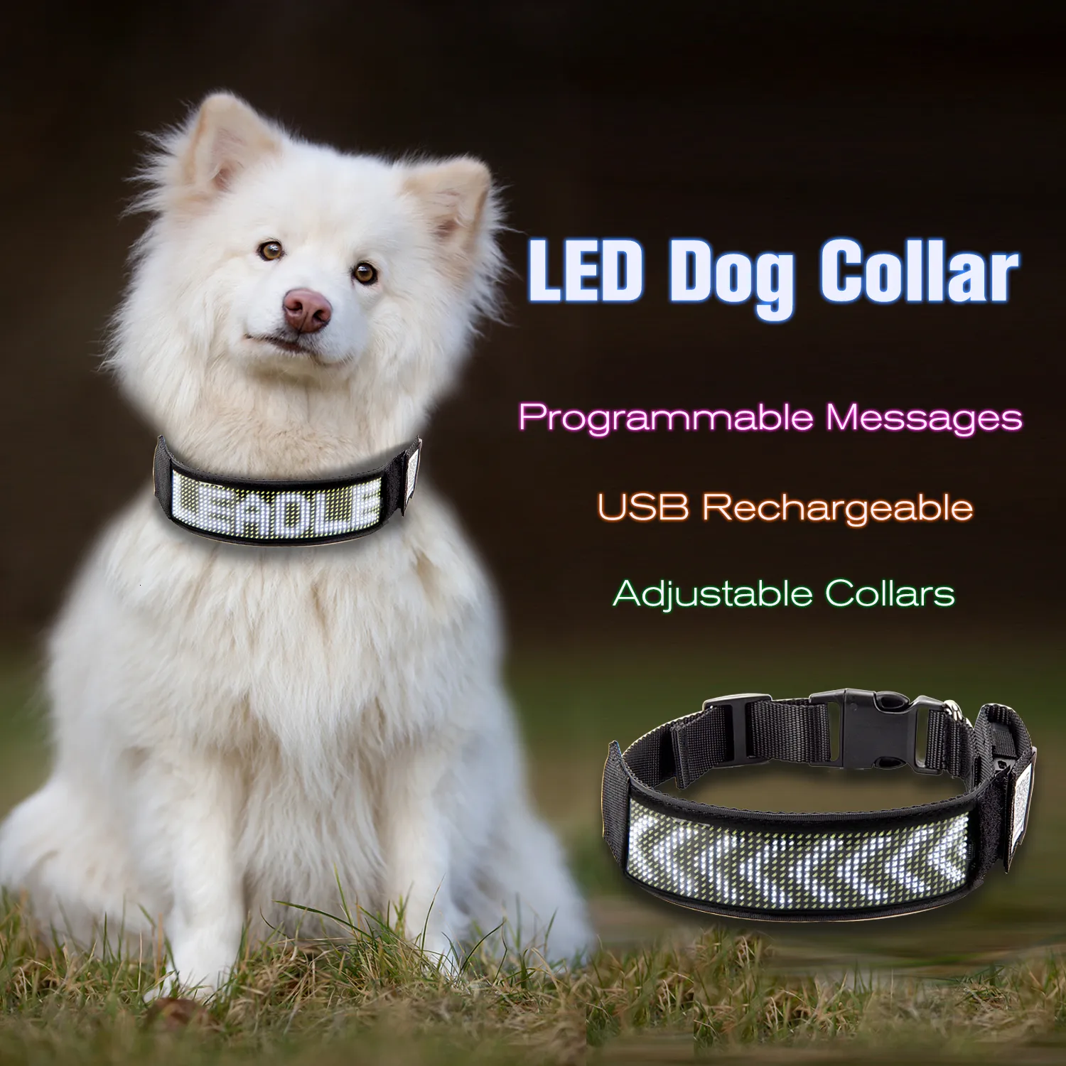Dog Collars LEASHES UNTSMART LED Collar Programmable BluetoothスクロールライトLluminated Multoloredパーソナライズされたテキストグラフィックスホワイト230816