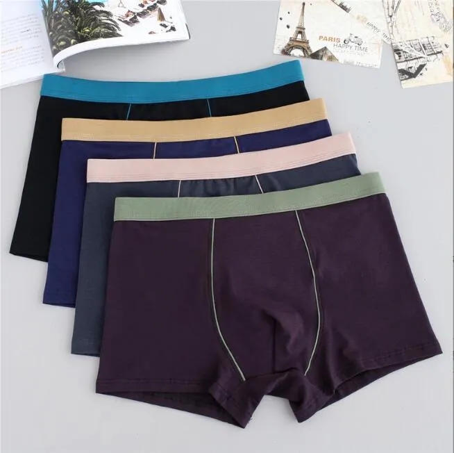 Briefes culotte coton femmes sous-vêtements boxers boxer hispensable slippants solides confortables 230817