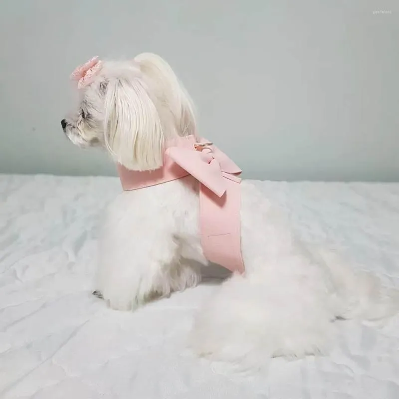 Köpek yakası koşum takımı evcil tasma seti büyük yay göğüs kedi çekiş moda prenses tarzı ve