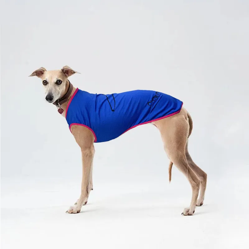 Odzież dla psa drukowana kamizelka letnia psa oddychająca oddychająca włoska greyhound pies płaszcz przeciw Mosquito UV Ochrona 230816