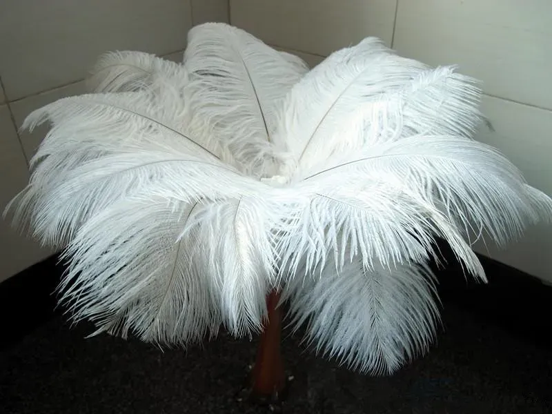 En gros, beaucoup de belles plumes d'autruche 25-30 cm pour la pièce maîtresse de mariage table centrales de table de fête de fête