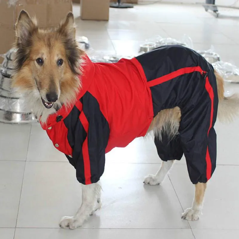 Dog Abbigliamento prodotti per animali domestici impermeabili di colore rosso verde striscia grande forniture per pioggia capricci arma da pioggia impermeabile