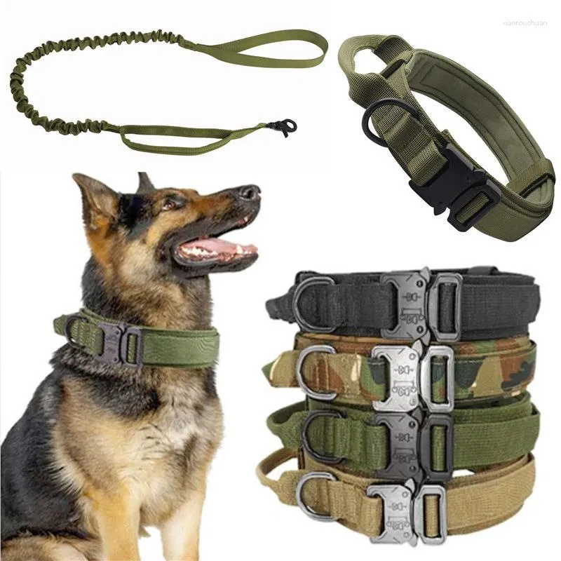 Colliers de chien Ligot tactique Nylon Durable Pet Elastic Corde à ceinture extérieure rétractable