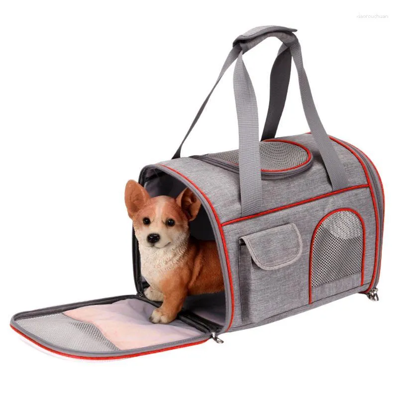Pet discount carrier petbarn
